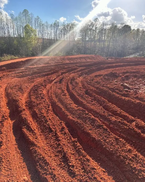 421 MX photo 2