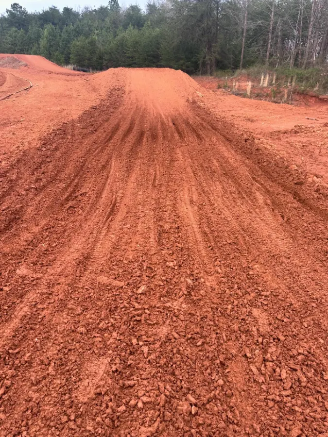 421 MX photo 4