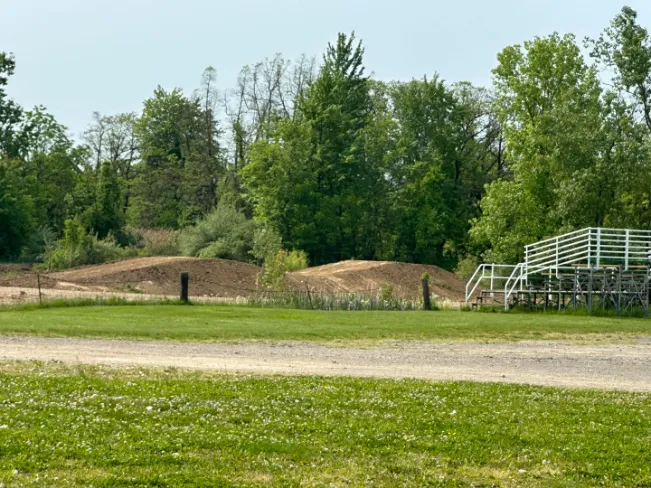 Amherst Meadowlarks photo 3