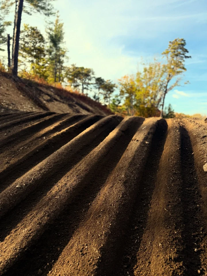 Buttonwoods MX photo 2