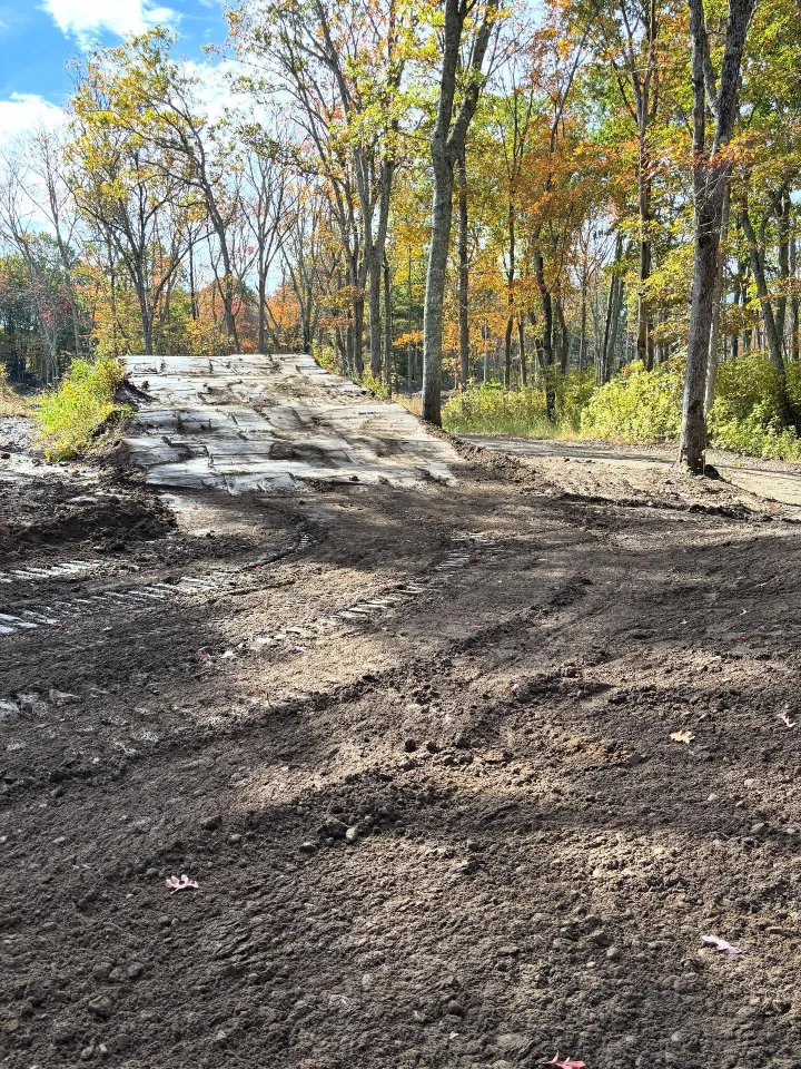 Buttonwoods MX photo 3