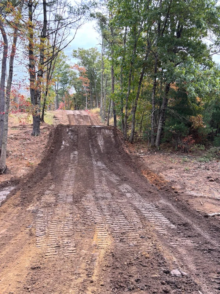 Buttonwoods MX photo 4