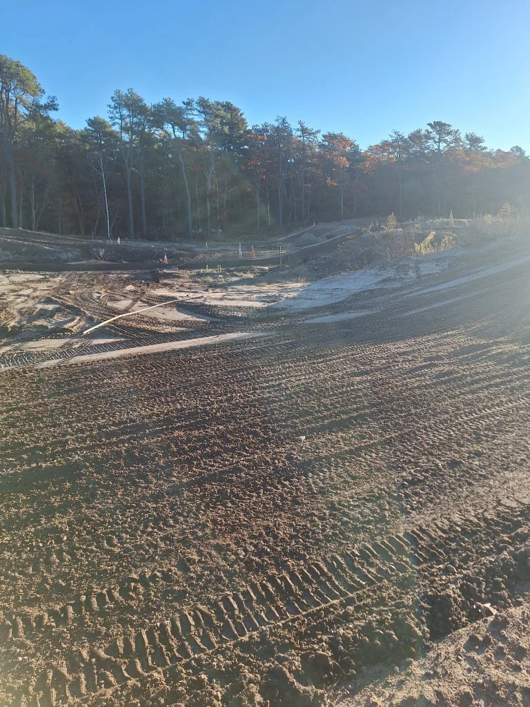 Diamond MX photo 2