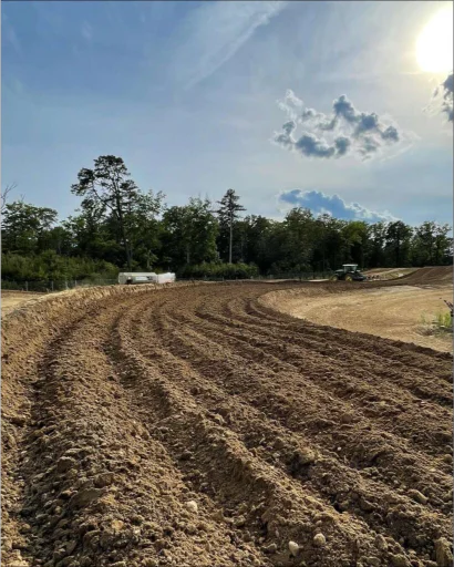Field Of Dreams MX photo 4
