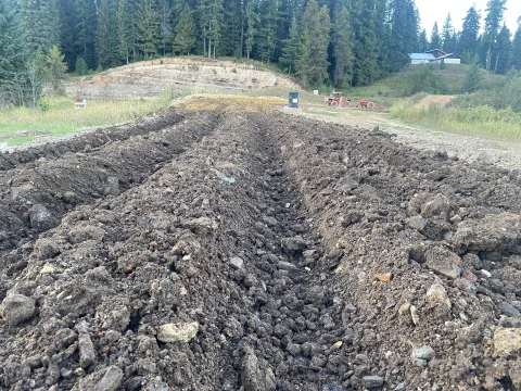 Fossil Bowl photo 2