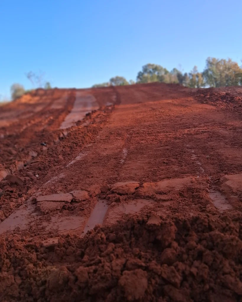 Golden Pine MX photo 1