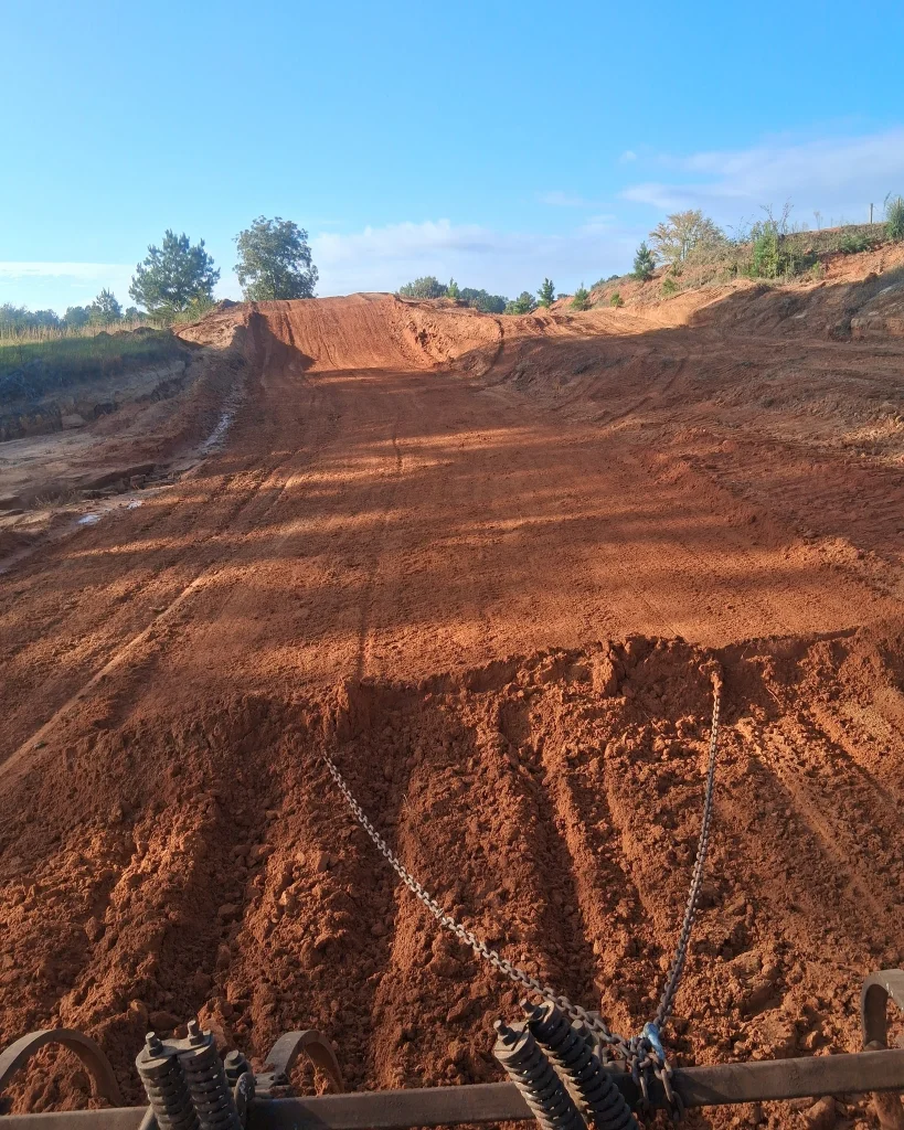 Golden Pine MX photo 3