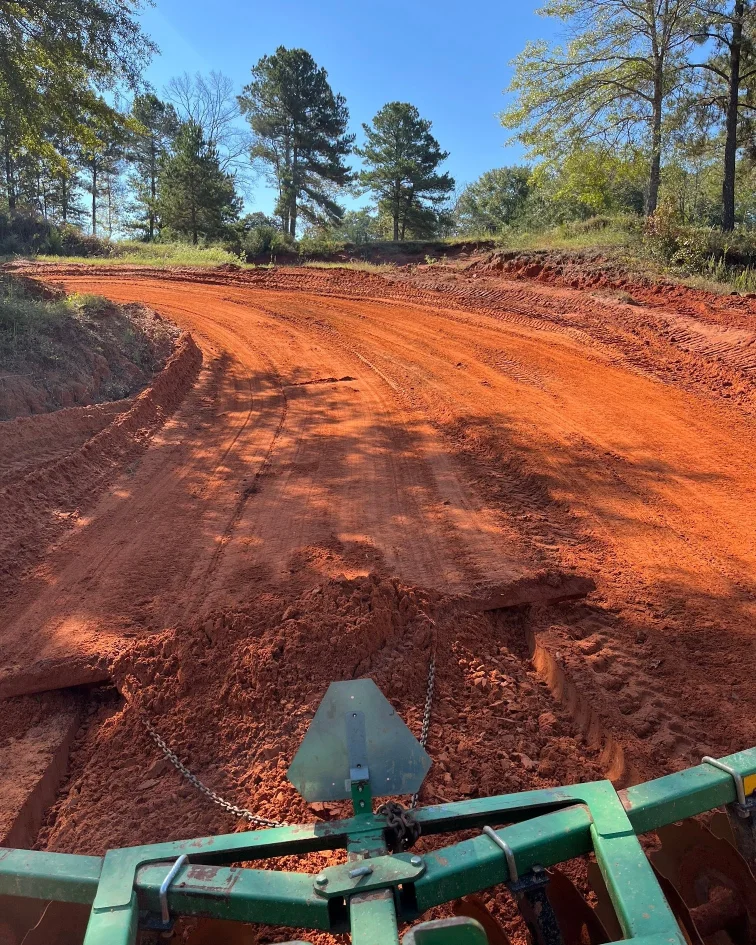 Golden Pine MX photo 4