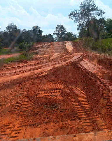 Golden Pine MX photo 5