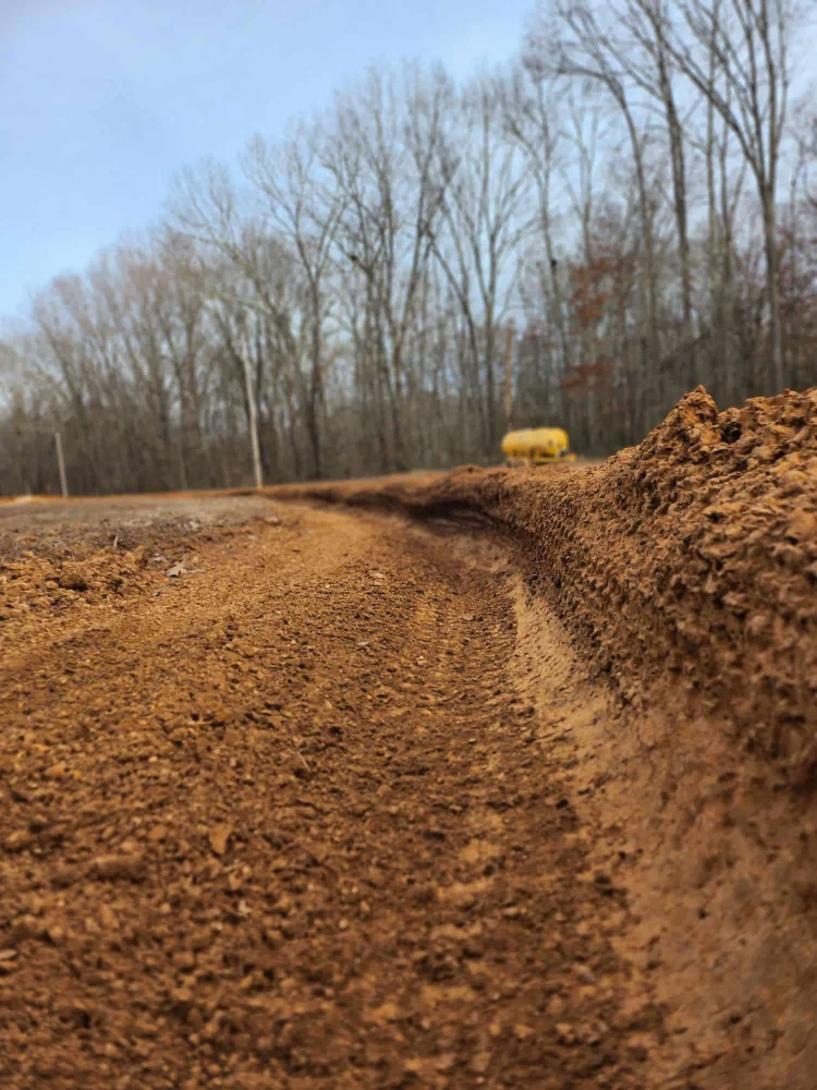 Hendrix MX photo 5