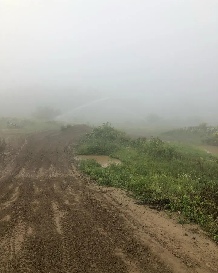 Jacksons MX Track photo 2
