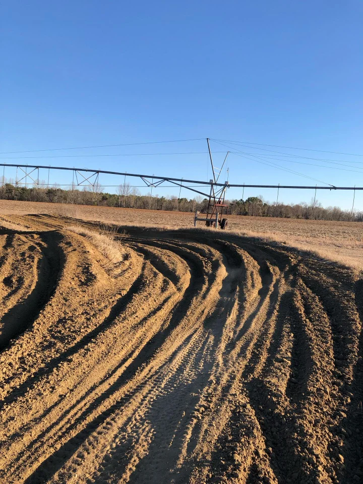 Lane Farm MX photo 2