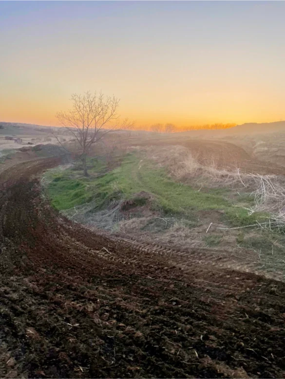 Lum Hollow photo 5