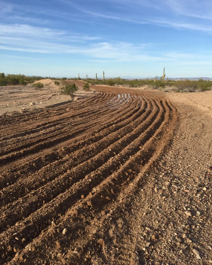 Maricopa Motorsports Park photo 1