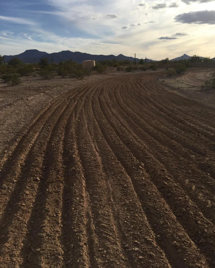 Maricopa Motorsports Park photo 3