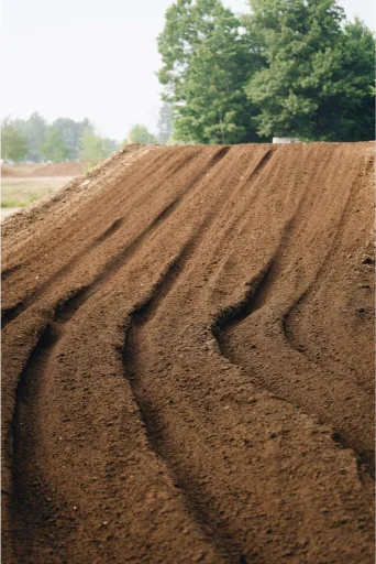 Martin MX photo 2