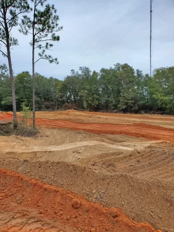 Milton MX photo 4