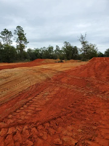 Milton MX photo 5