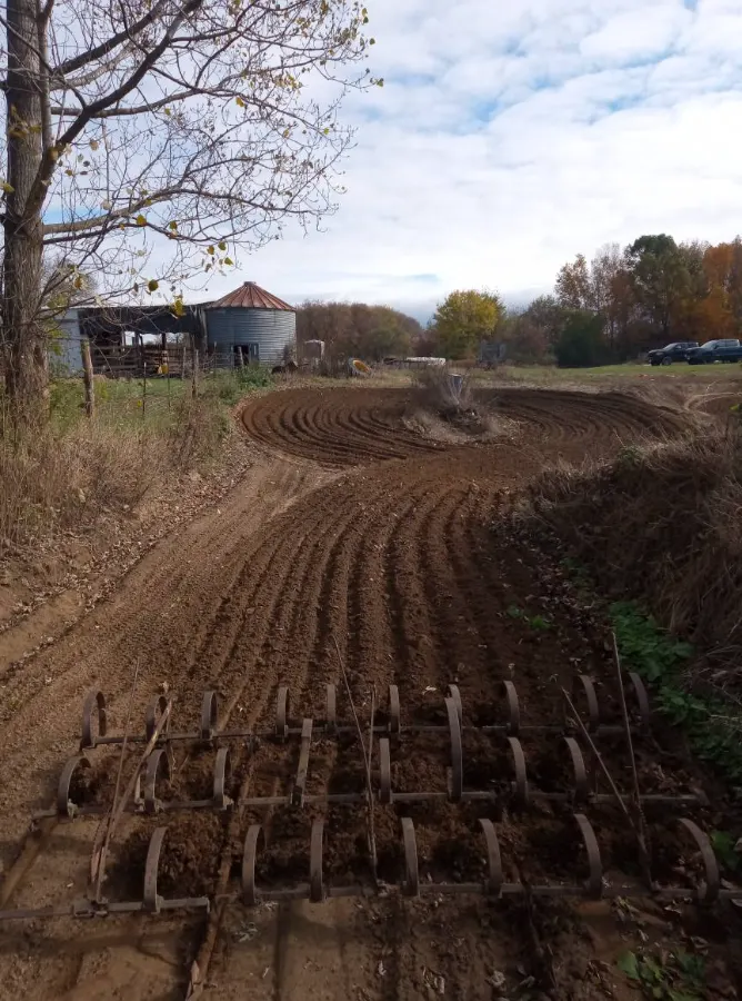 Mt Morris Sand Track photo 4