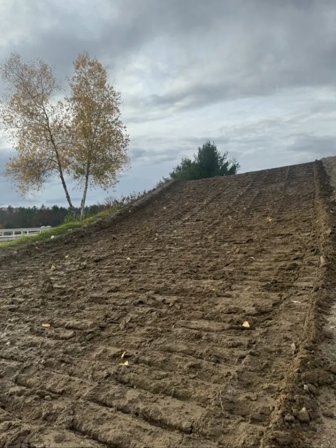 MX207 photo 3