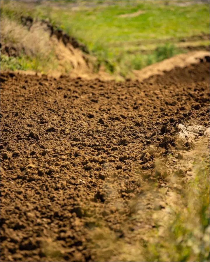 Oak Ridge MX photo 4