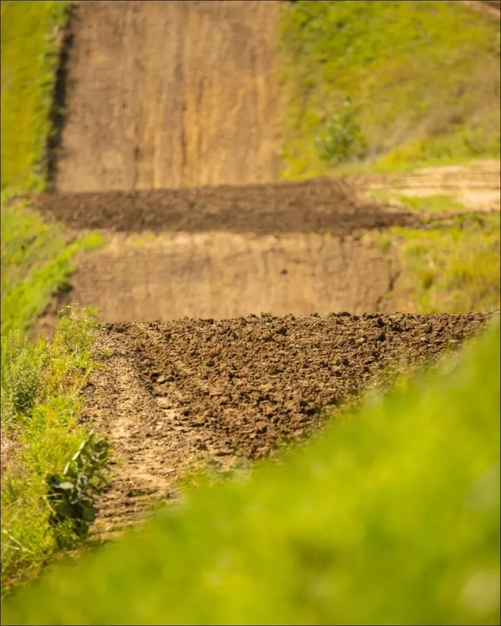 Oak Ridge MX photo 5