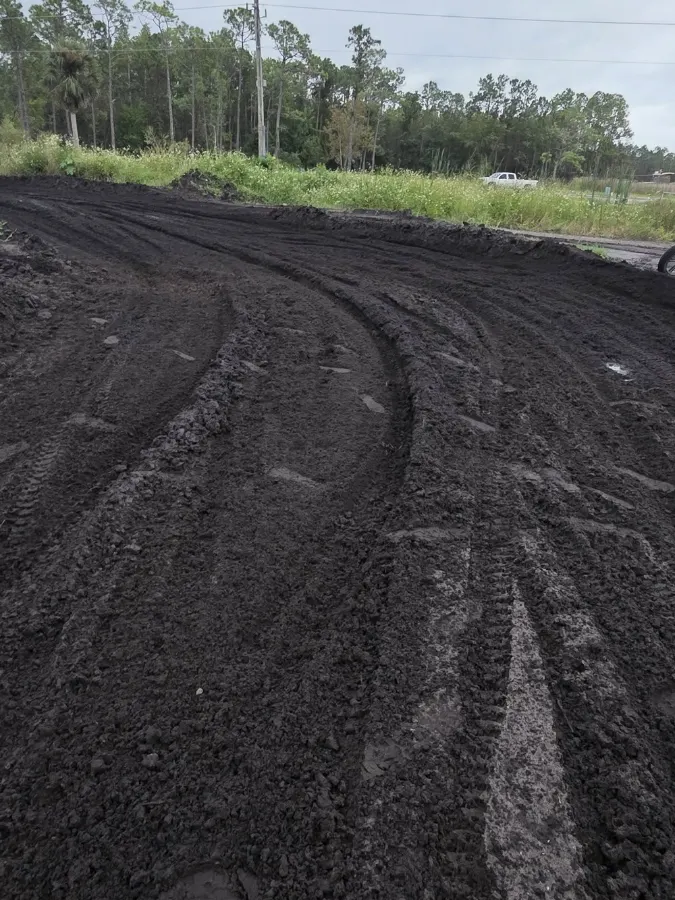 Pax Trax MX photo 3