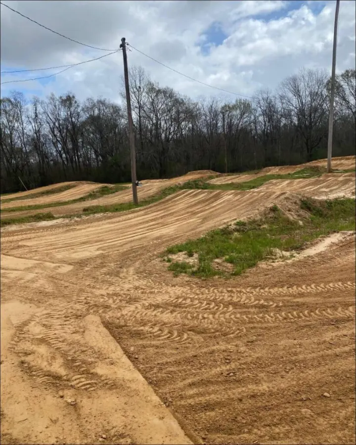 Renaissance MX photo 1
