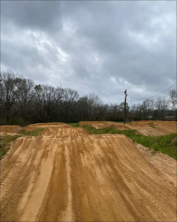 Renaissance MX photo 4