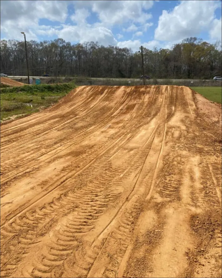 Renaissance MX photo 6