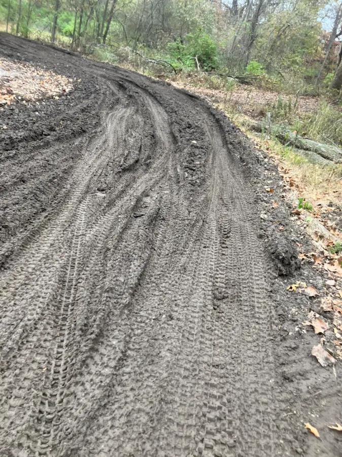 Section 8 MX photo 1