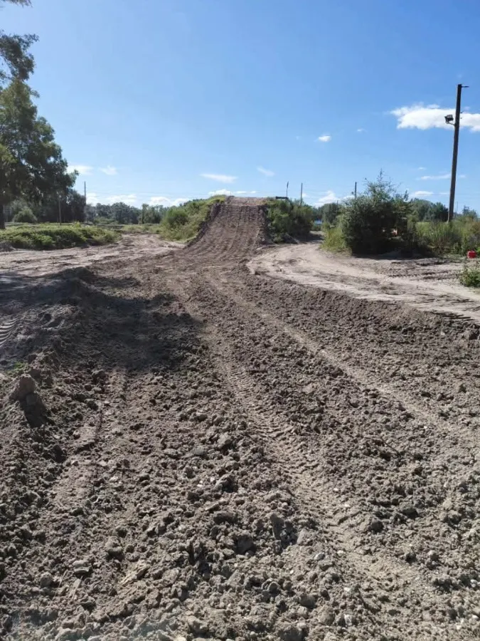 Spyder MX photo 2
