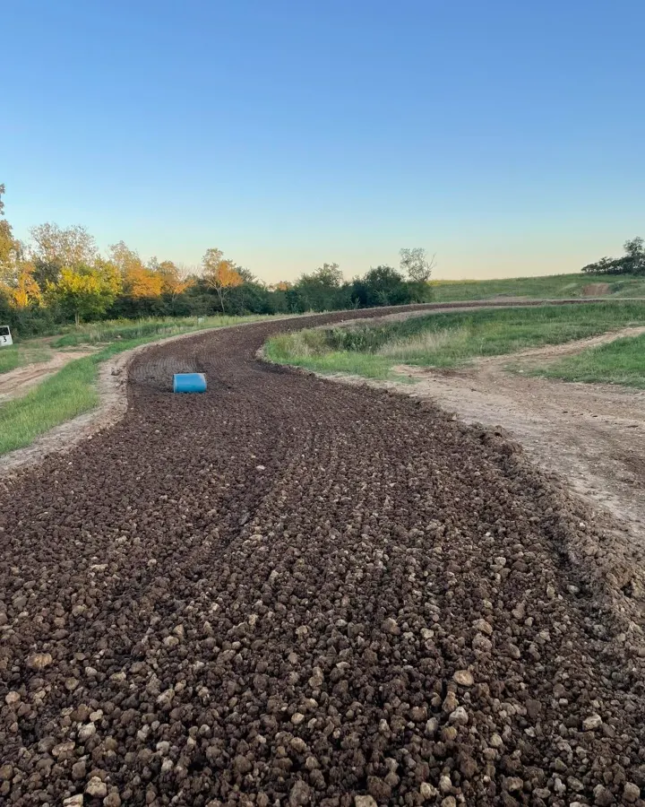 Sugar Maple MX photo 1