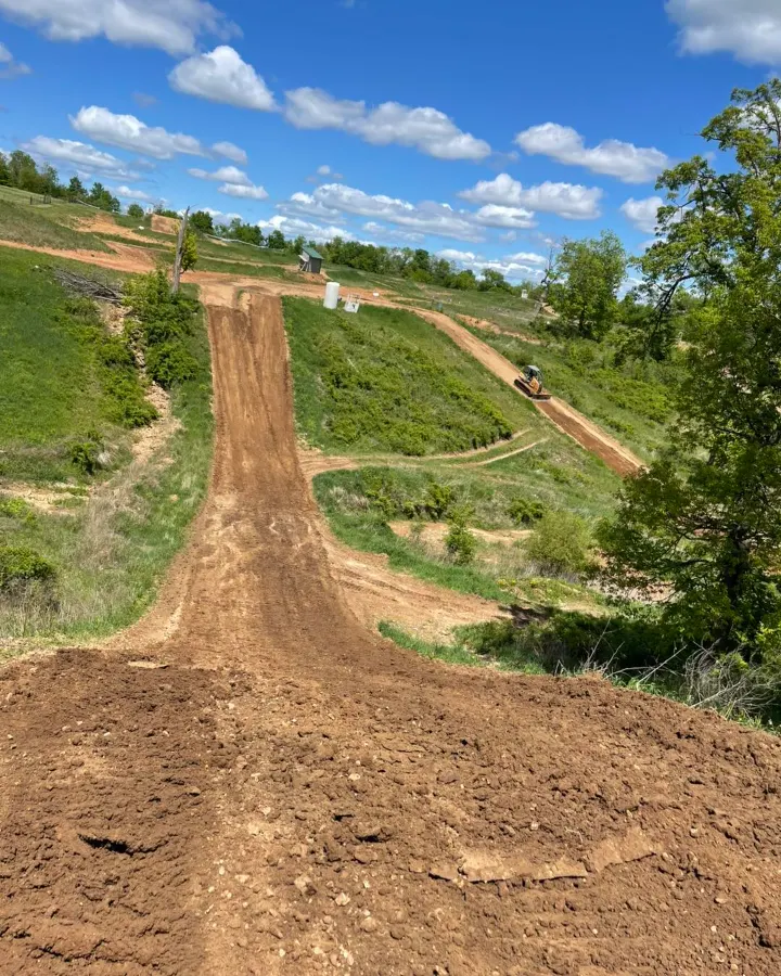 Sugar Maple MX photo 4
