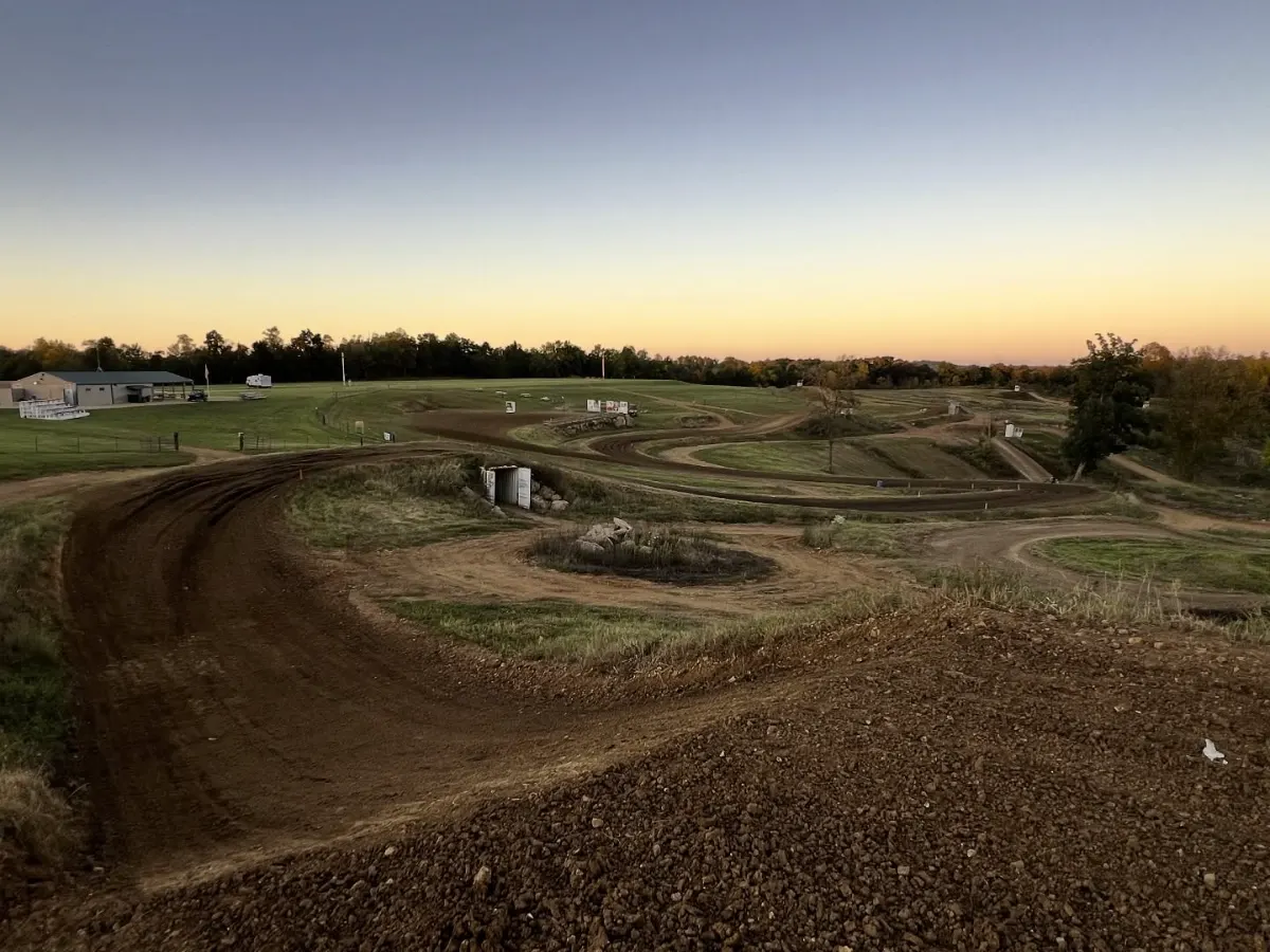Sugar Maple MX photo 5