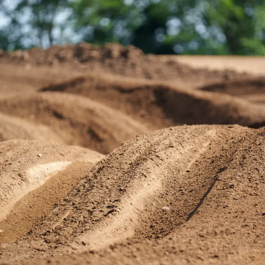 Sunset Ridge MX photo 1