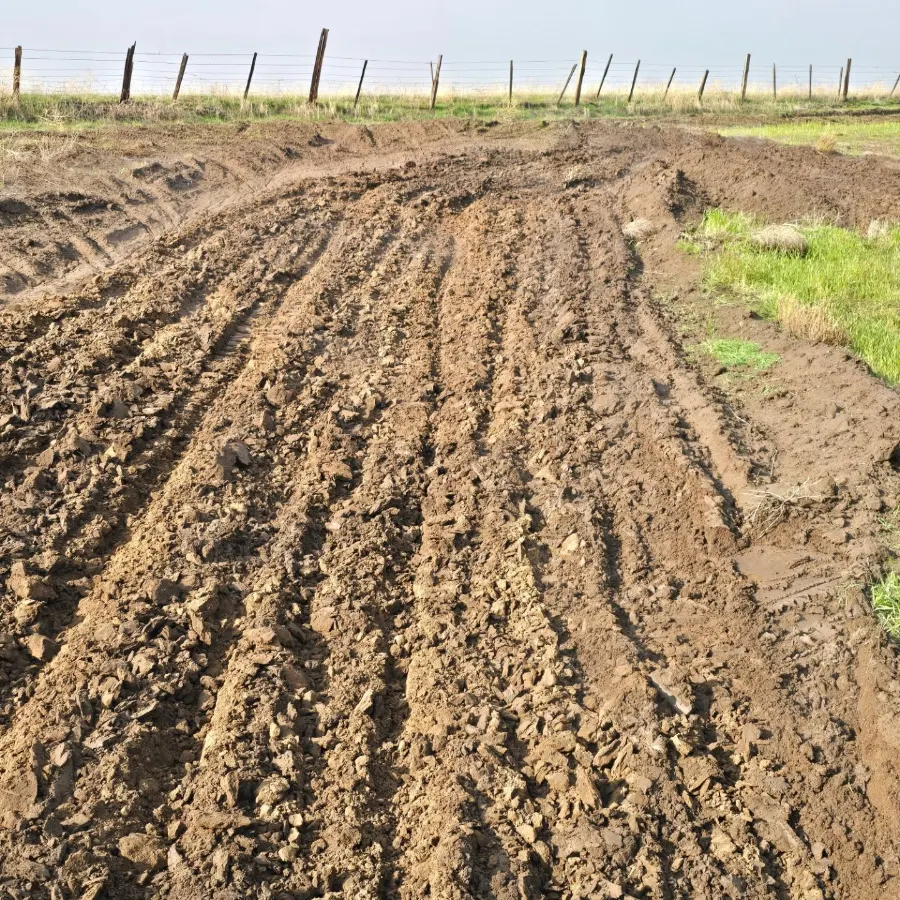 Track 148 photo 4