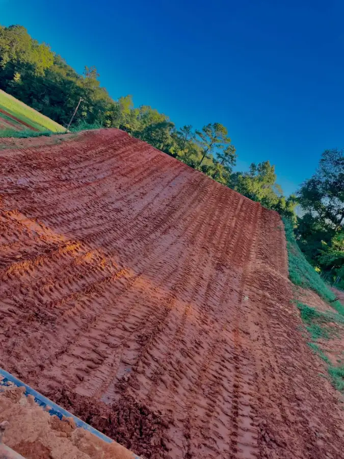 Arcola MX photo 1