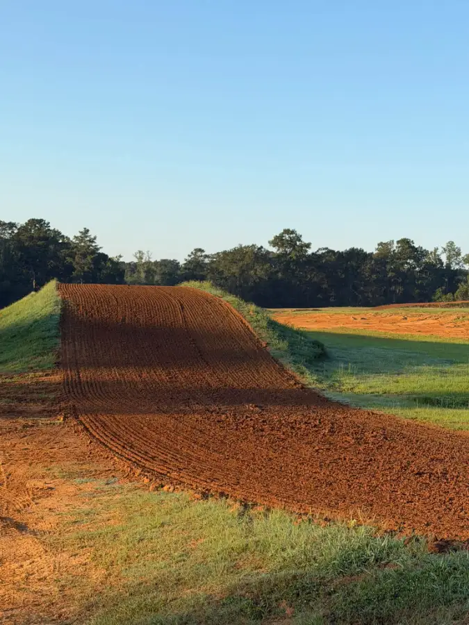 Arcola MX photo 4