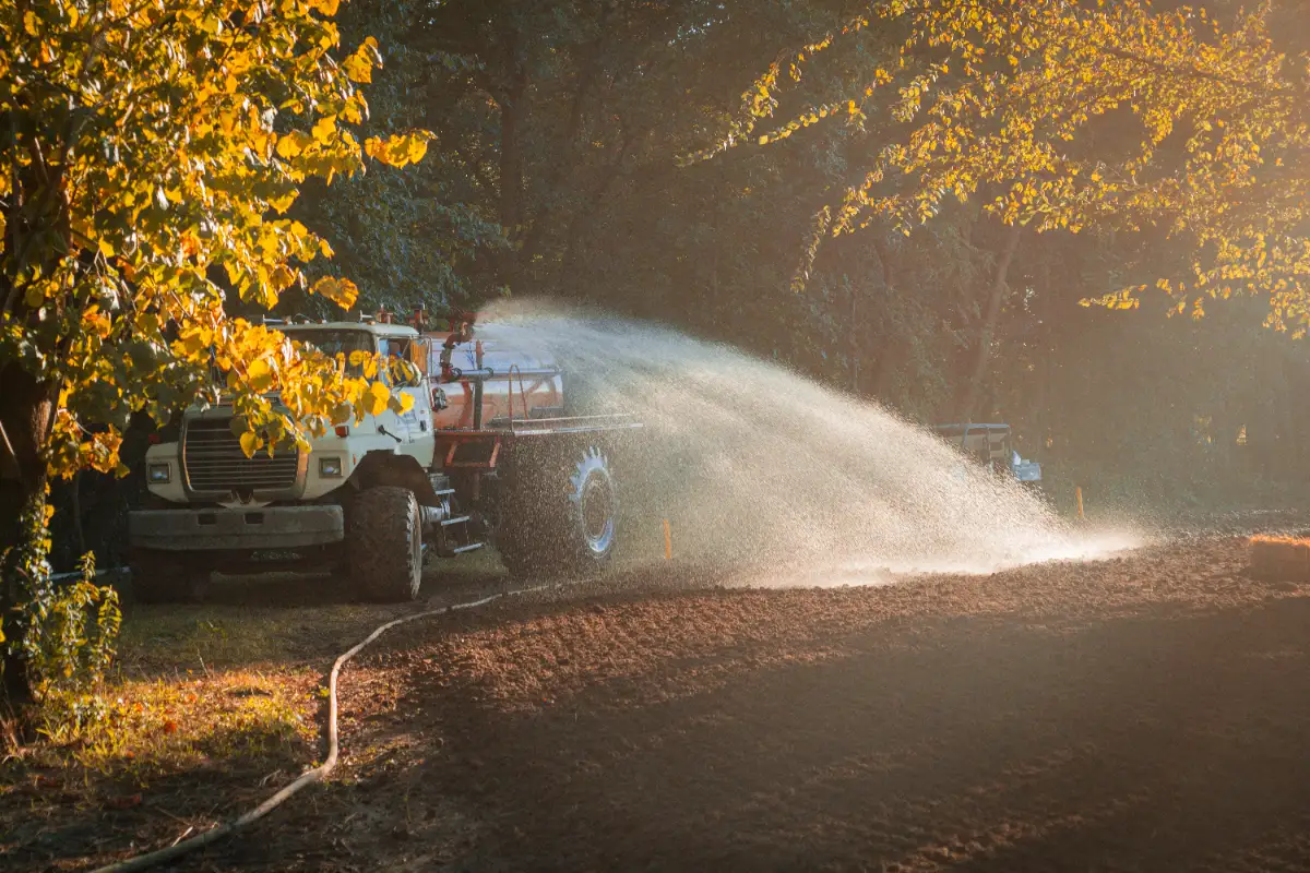 CronkyTonk MX photo 5