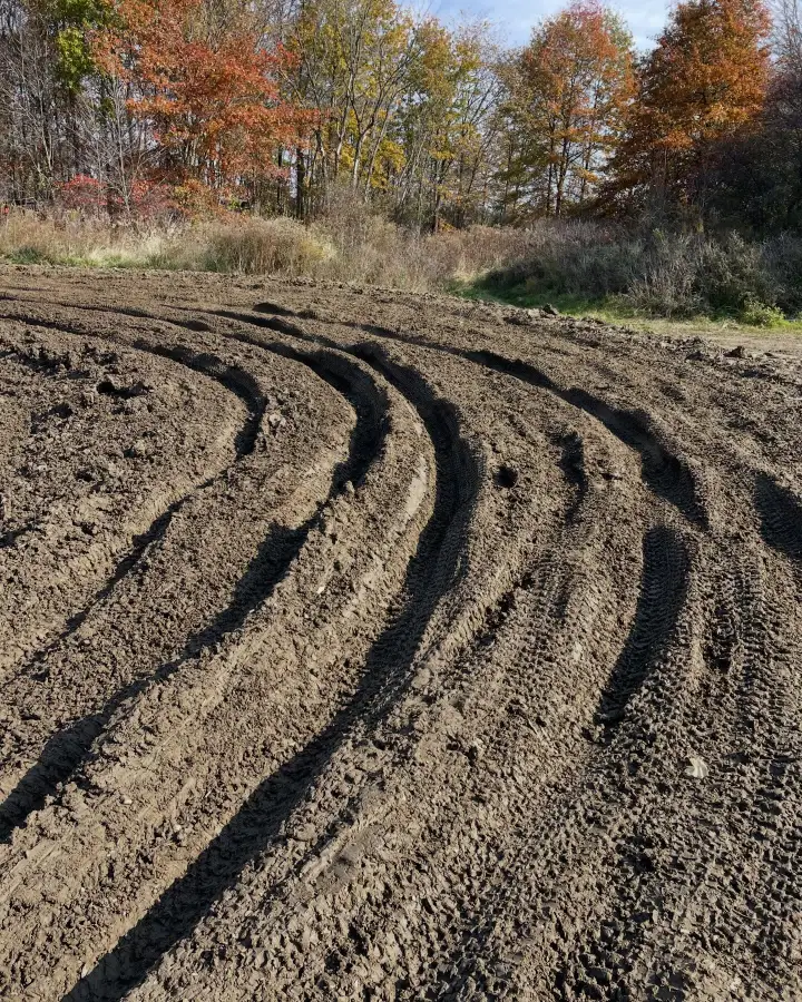 Driven MX photo 1