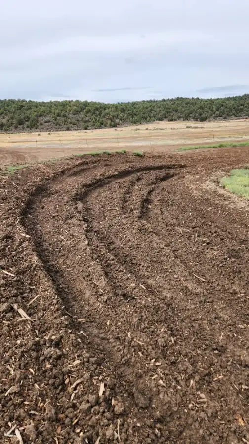 Dry Lake MX Park photo 1