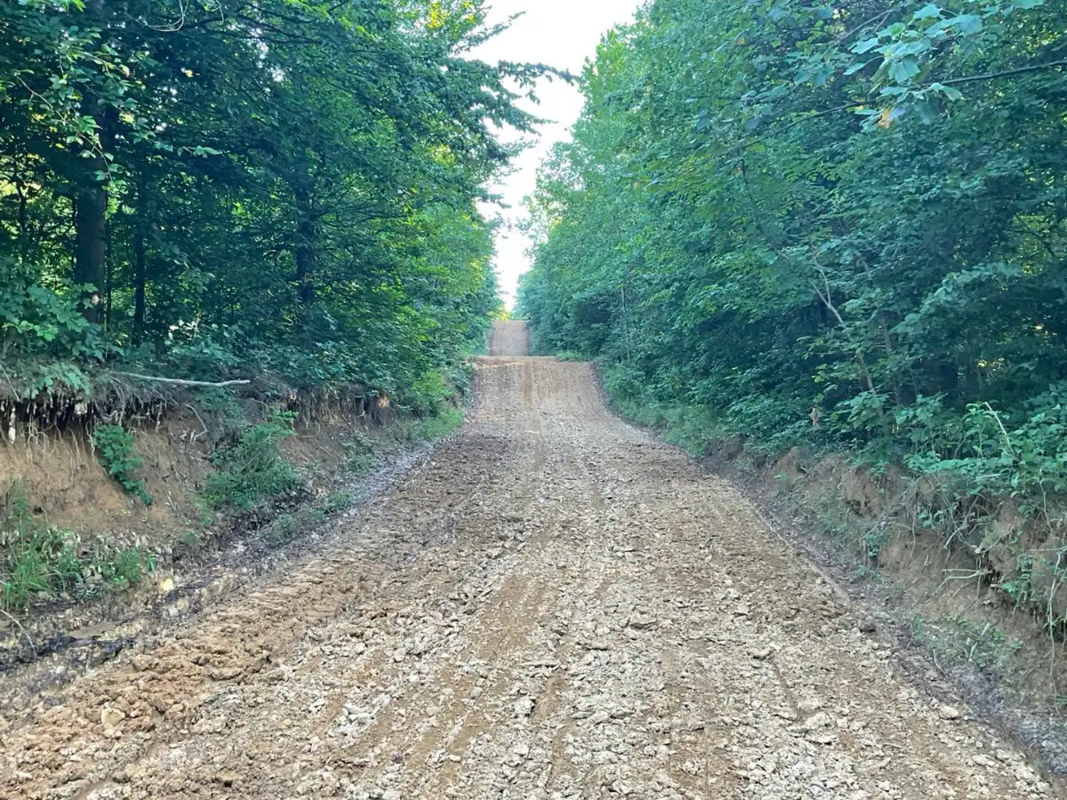 Dunn's Playground Motocross photo 1