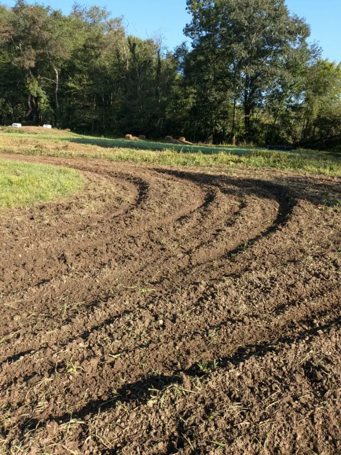 Turn13MX photo 3