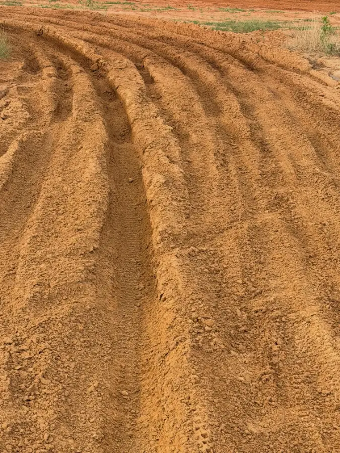 Swan MX photo 2