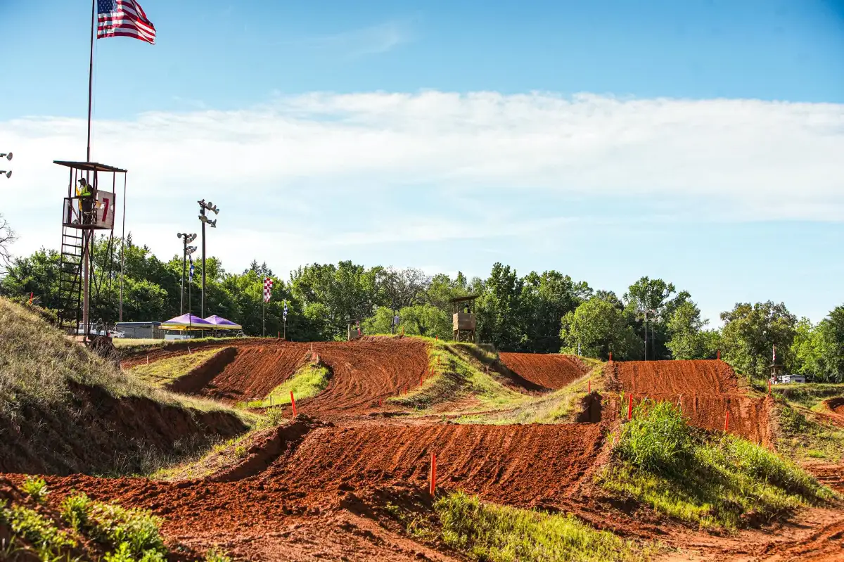 Swan MX photo 3