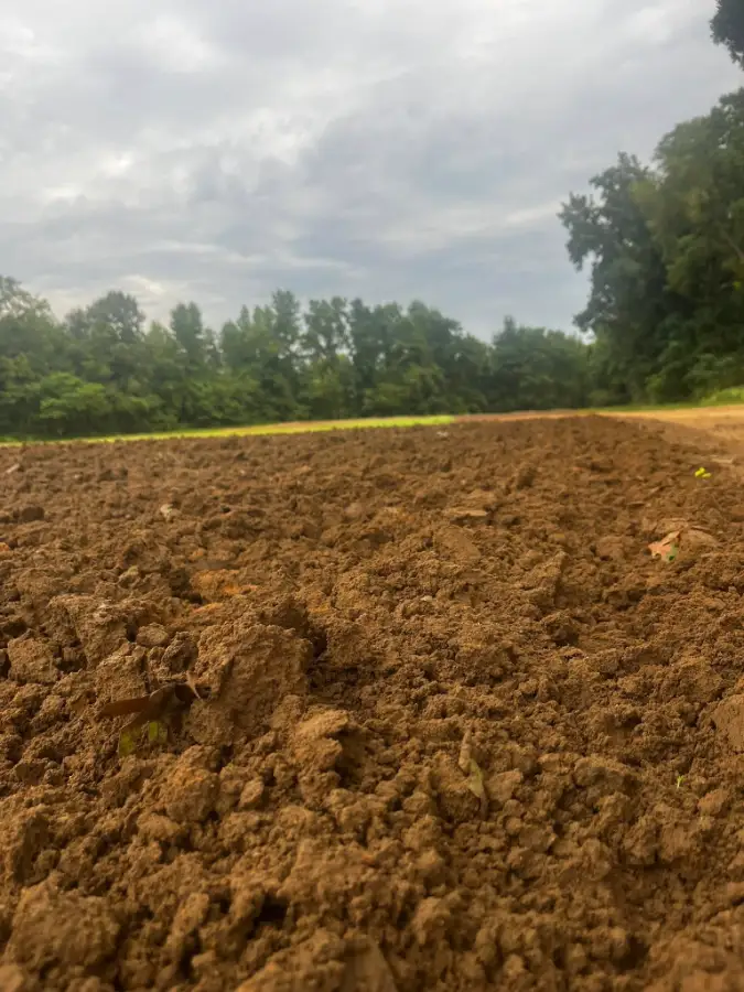 H5 MX Compound photo 1