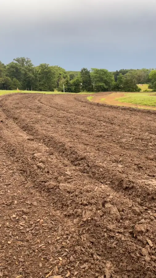 Sweeney MX photo 5