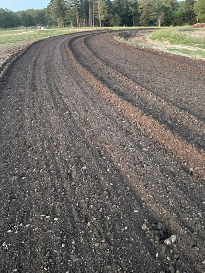 Sweeney MX photo 2