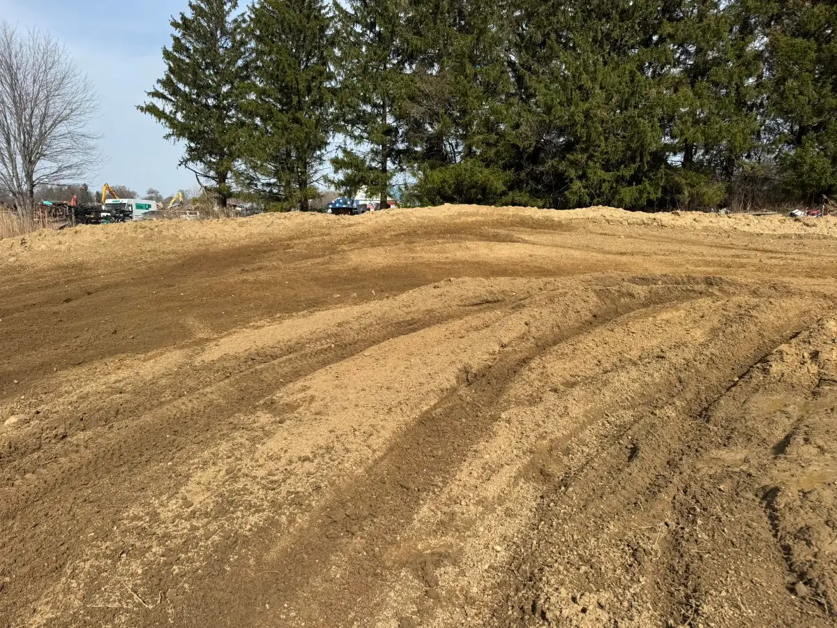 Bula MX photo 2